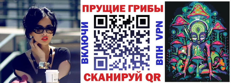 блэк спрут как зайти  Красногорск  Псилоцибиновые грибы мухоморы 